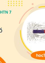 Từ phổ - KHTN 7  -  Hoc10